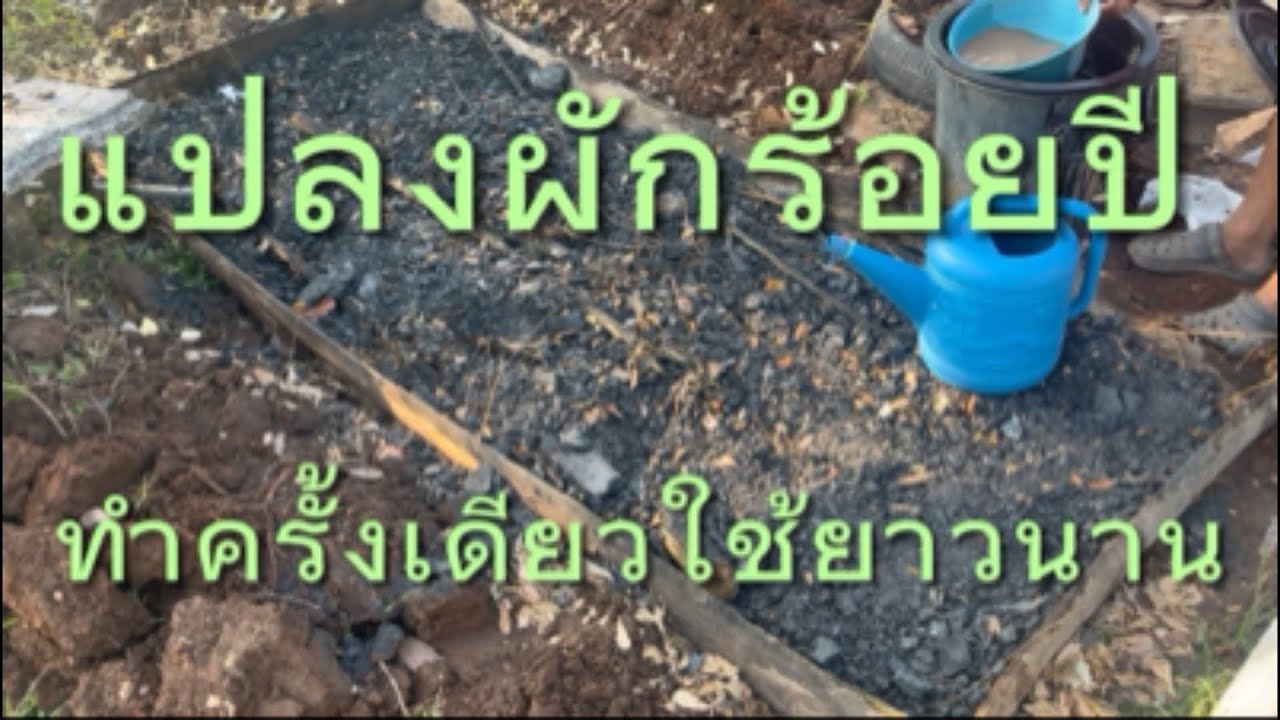 สร้างแปลงผักทนแล้ง เหนื่อยครั้งเดียวใช้ได้ยาวนาน