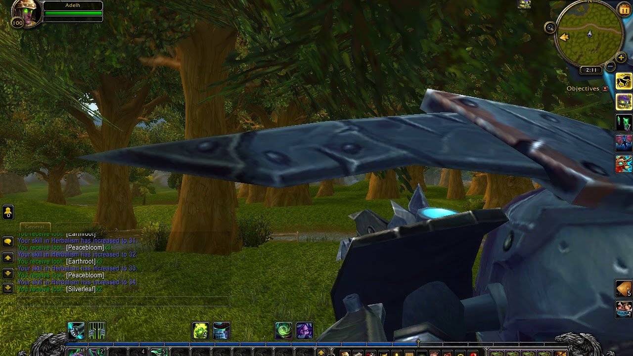 WOW - Flying with the Sky Golem