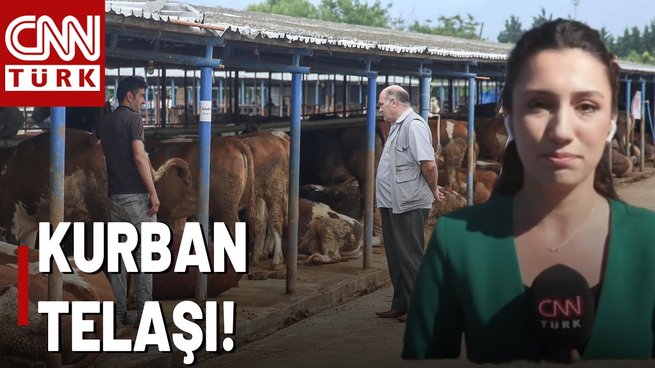 İstanbullunun Kurban Kesim Telaşı Başladı! Kesim Alanlarında Kuyruk Oluştu...