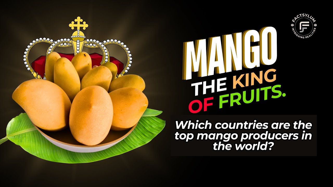 The Top 10 Largest Mango Producing Countries In The World 2024
