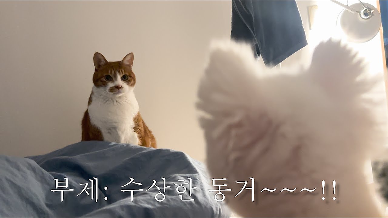 테니스 끊기 1일차