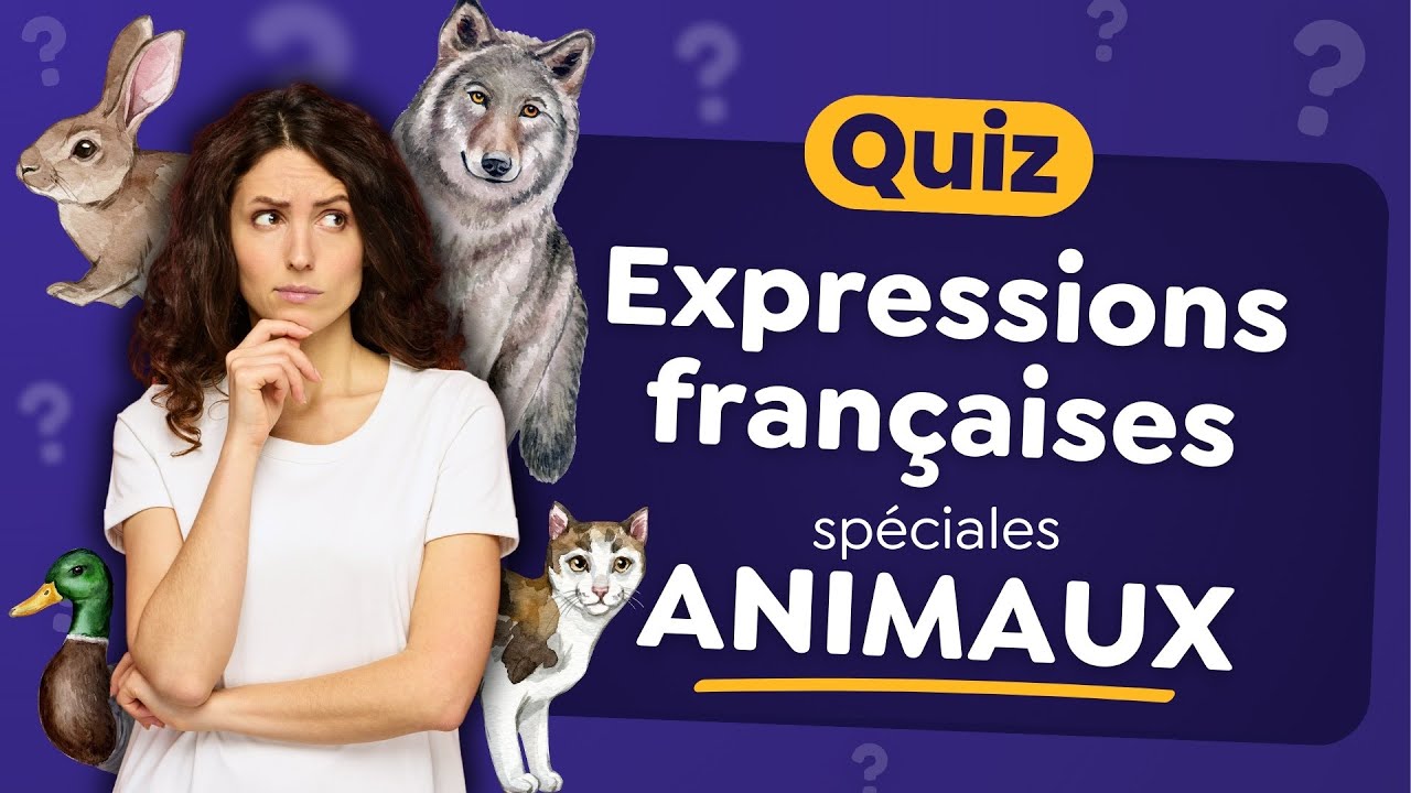 QUIZ : Completez les Expressions françaises spéciales Animaux - 50 Questions