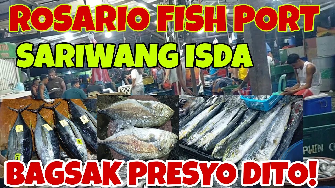 Pandawan Rosario Fish Port| Bagsak Presyo Ang mga Malalaking isda| .Update Price December 6,2024