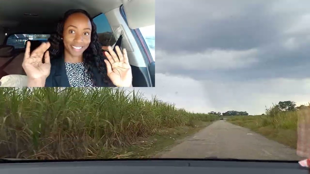 Grange Hill, Westmoreland, and Hanover YouTube Drive Along. #travel #jamaica 