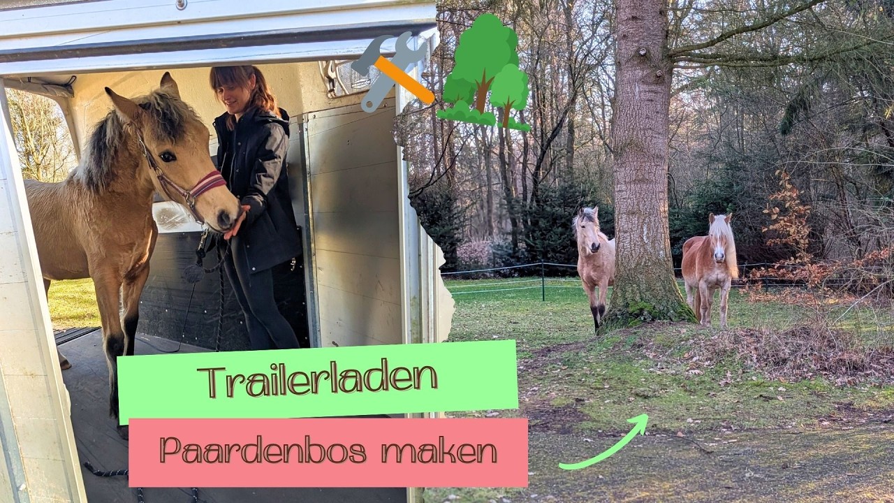 PAARDENBOS maken 🌳 & Kayenta op de TRAILER! 🐴 | VLOG #173