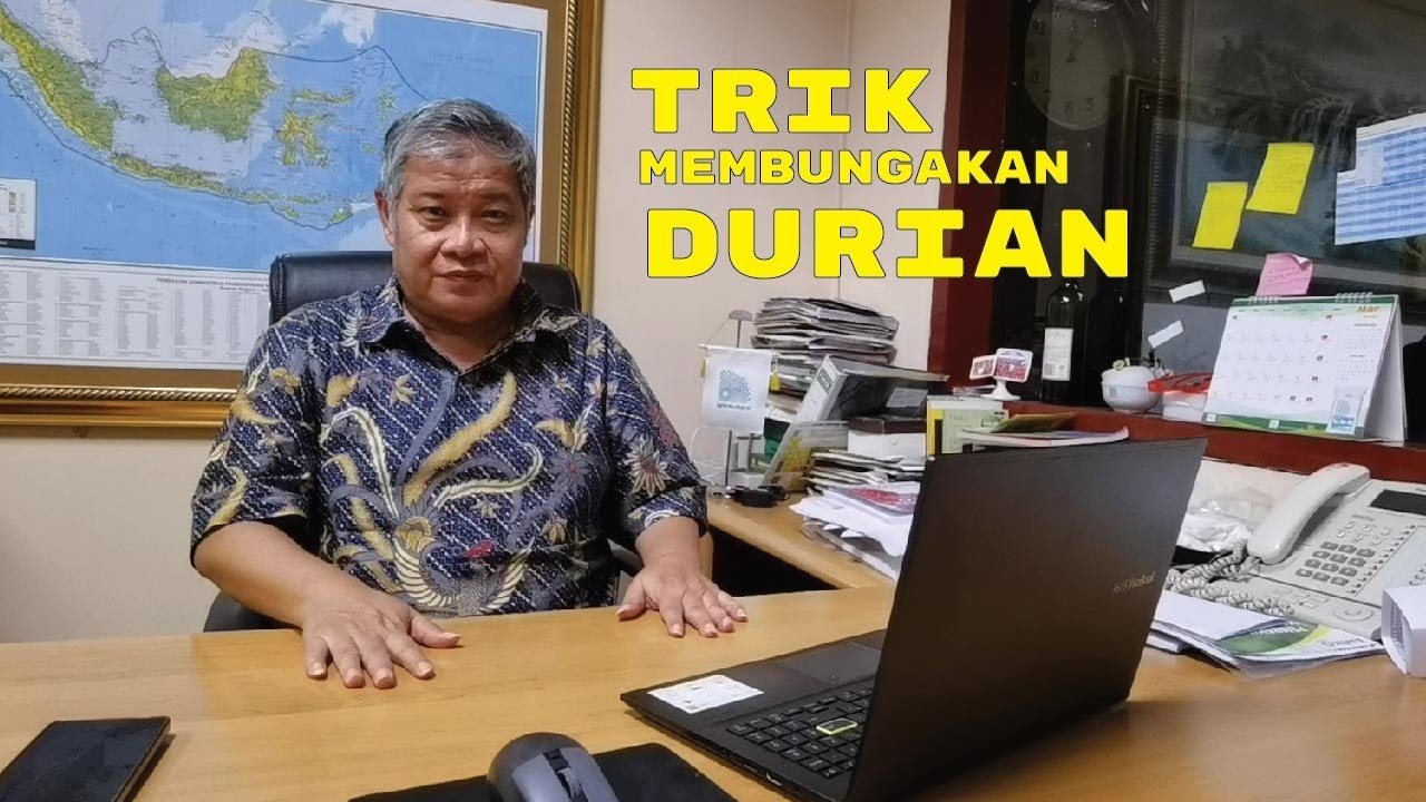 Trick Membungakan Tanaman Durian