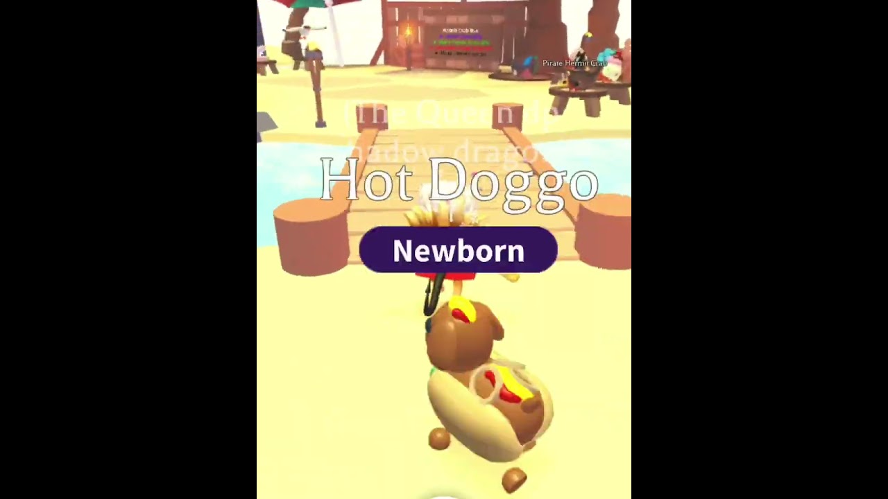 Летний фестиваль Adopt Me в Roblox заканчивается через 15 часов!! Последний шанс получить множест...