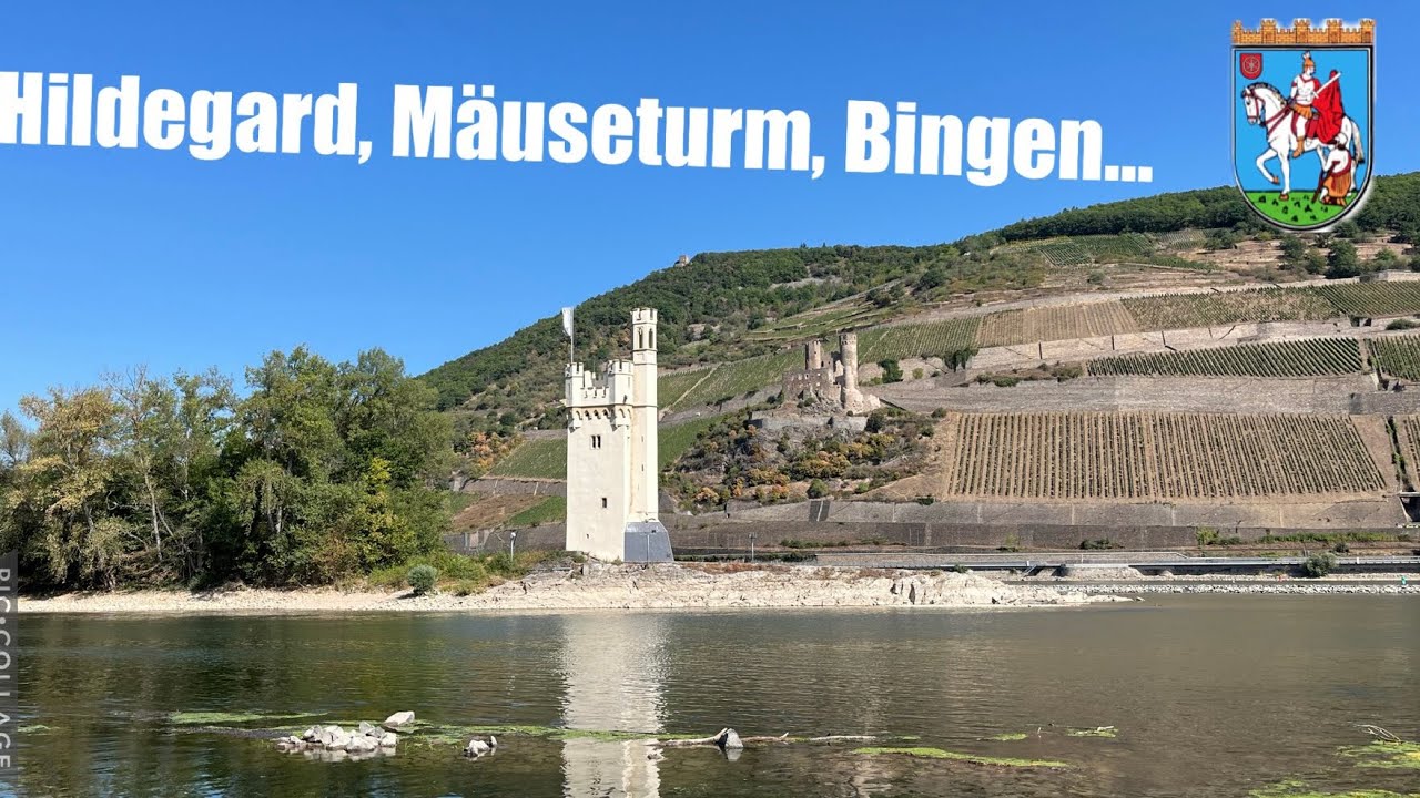 Mäuseturmstadt Bingen am Rhein 🐭