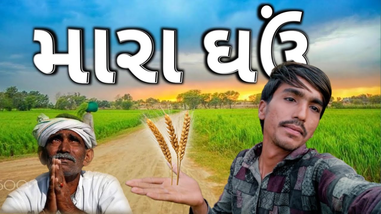 મારા ઘઉં🌾 સોનુ પાક્યું hamari fasal gaon#trending #gaon #fasal #khetibadi #kisan #video #viral 