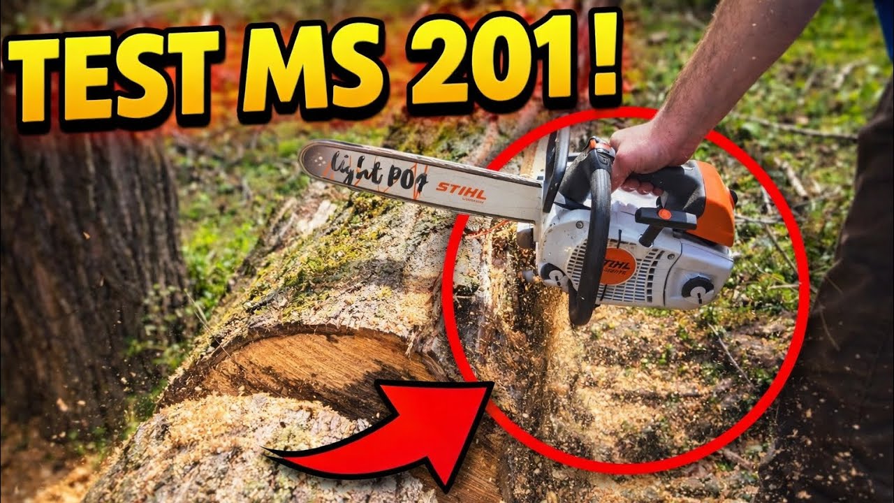 “La MS 201 peut-elle couper un TRÈS GROS tronc ? 😱 Test réel !