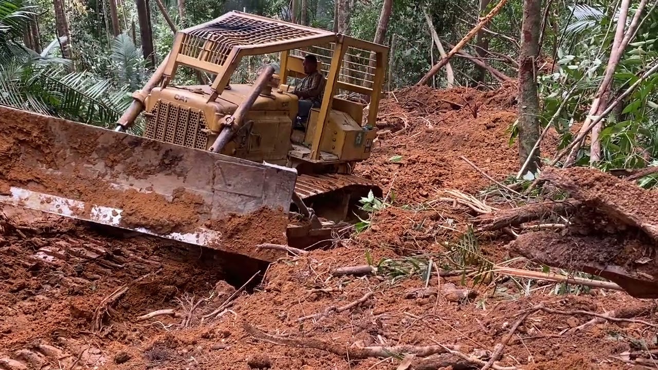 Mesin tua yang masih super power tarik kayu besar dari dalam jurang
