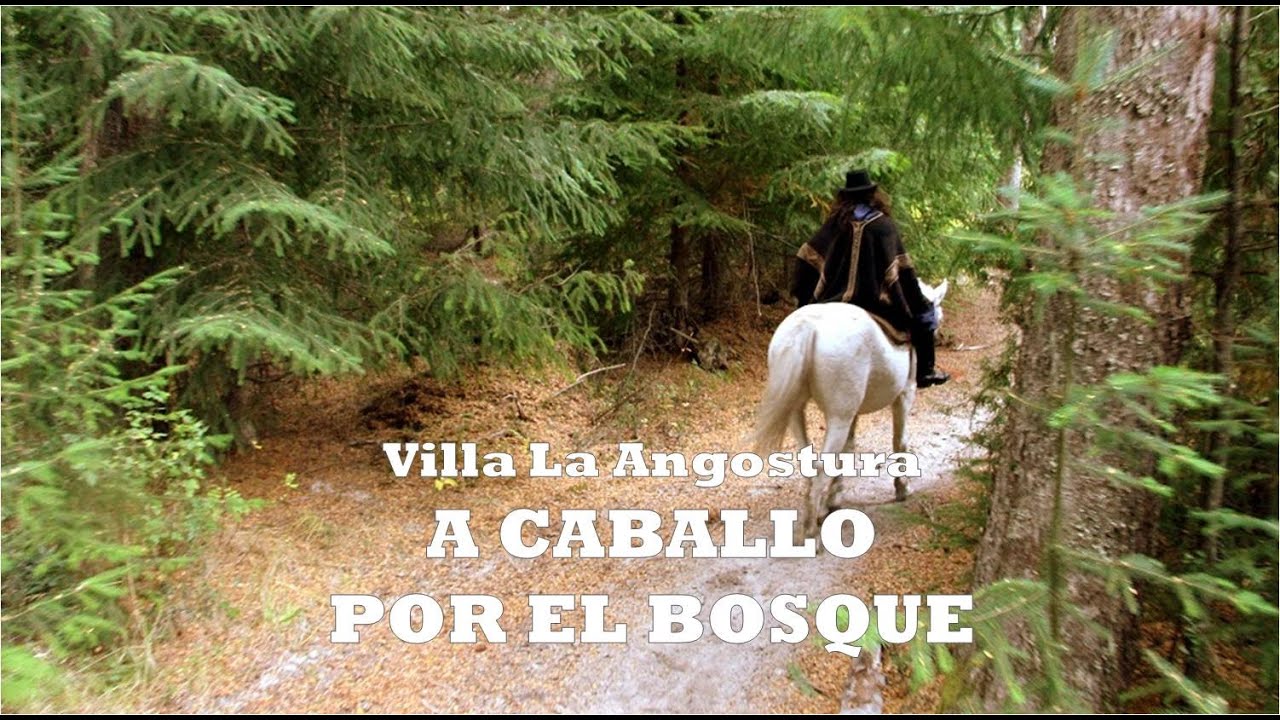 Una cascada imperdible en Villa La Angostura | Neuquén Argentina #14