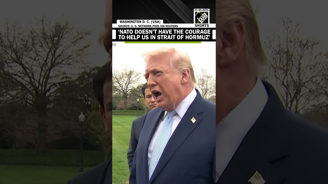«У них не хватает смелости помочь нам в Ормузском проливе…» Трамп в очередной раз принижает значе...