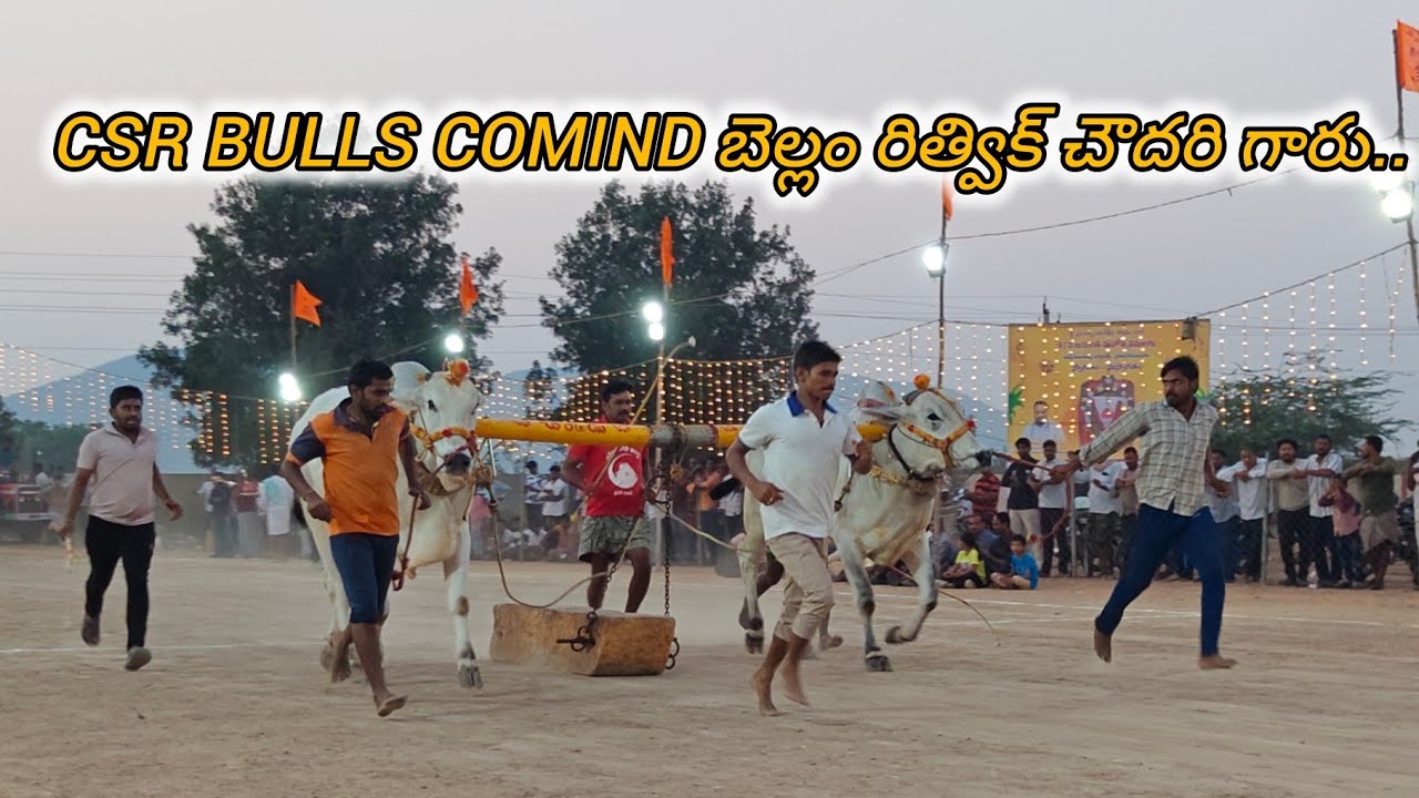 ఆకుల గణపవరం 2పళ్ళు 12వ CSR BULLS COMIND బెల్లం రిత్విక్ చౌదరి గారు..