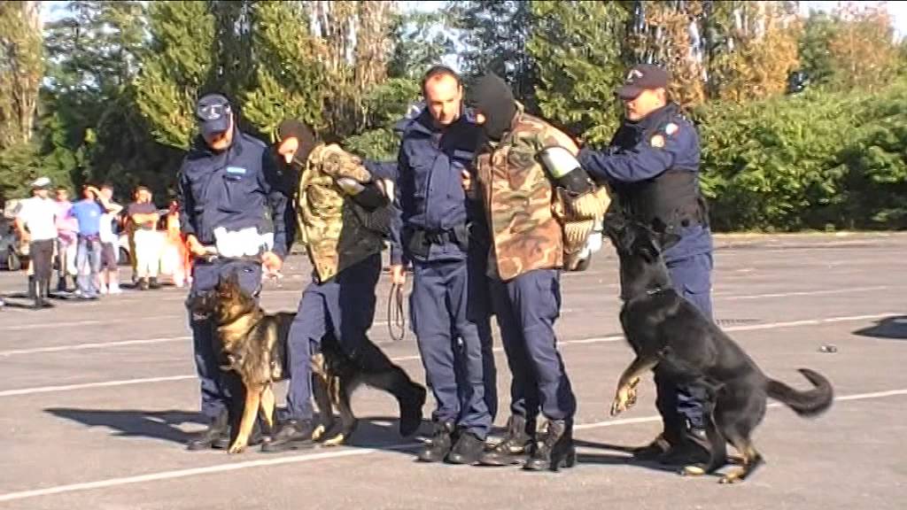 Cinofili Polizia Locale Milano