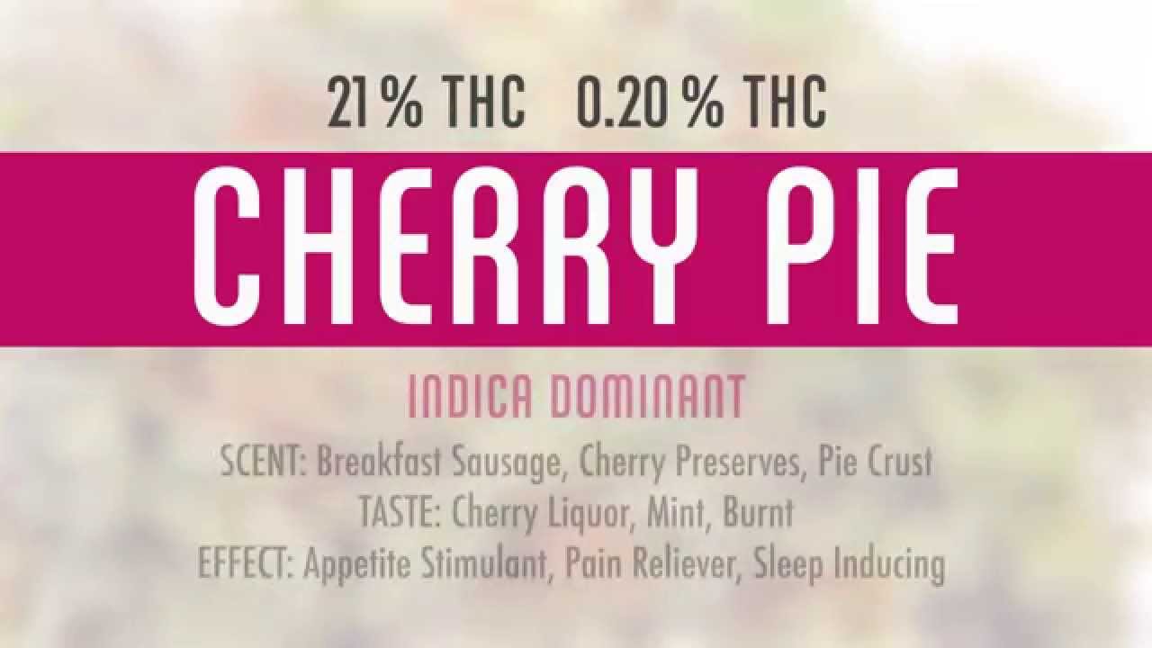 Cherry Pie - Grand Rapids  Dispensary and Provisioning Center