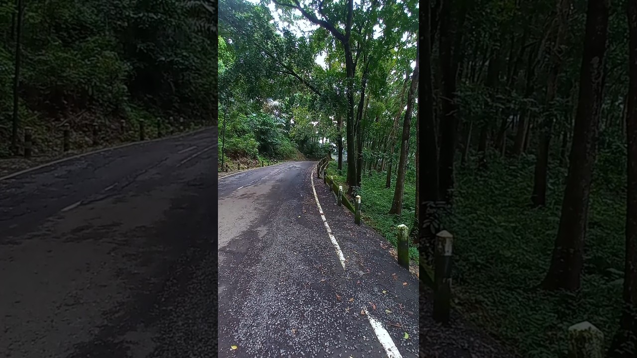 jalur lio brebes #feedshorts #petualangan #hutan