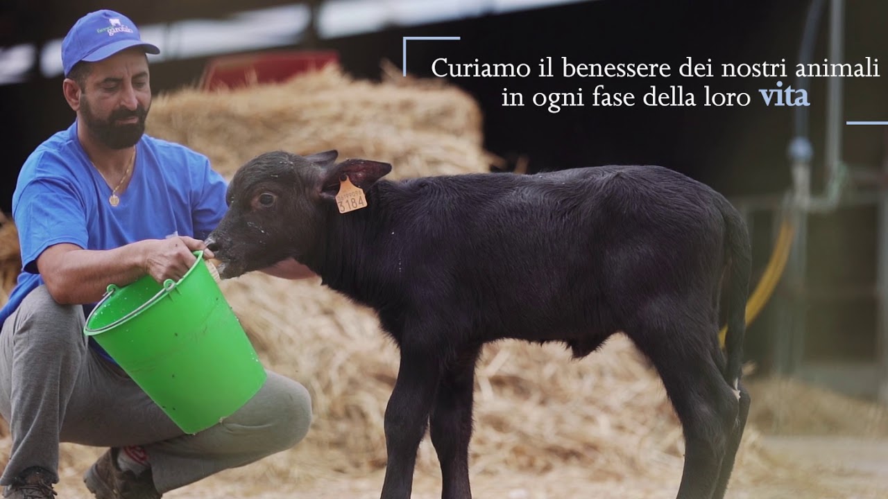 Fattorie Garofalo, una storia che scriviamo ogni giorno.
