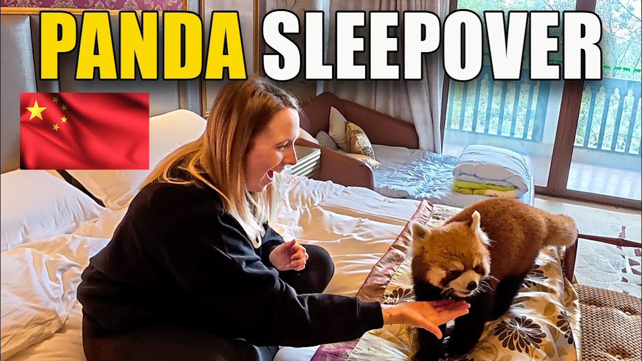 No Words! I Can&rsquo;t Believe You Can Do This in China 🇨🇳