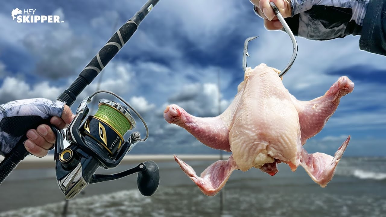 Does a WHOLE CHICKEN work as Fishing Bait?? What’ll this catch?