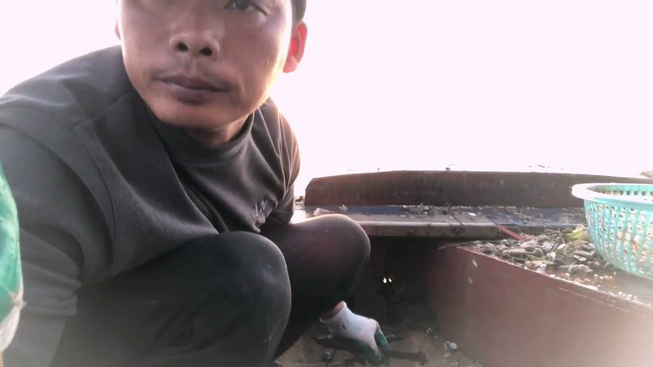 Ra khơi kiếm cơm, cào sò cua tôm cá quá ngon / Hoàng Dân Biển 