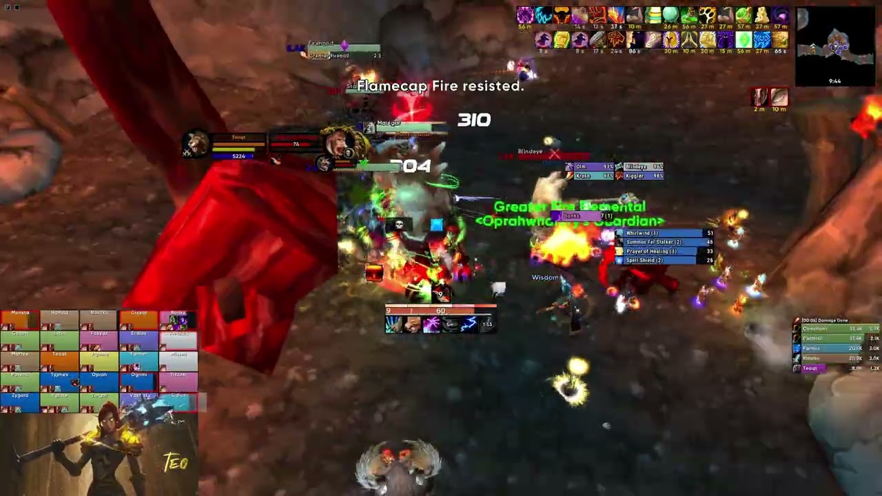 #1 World Feral Druid DPS High King Maulgar (17s Kill) | TBC Anniversary