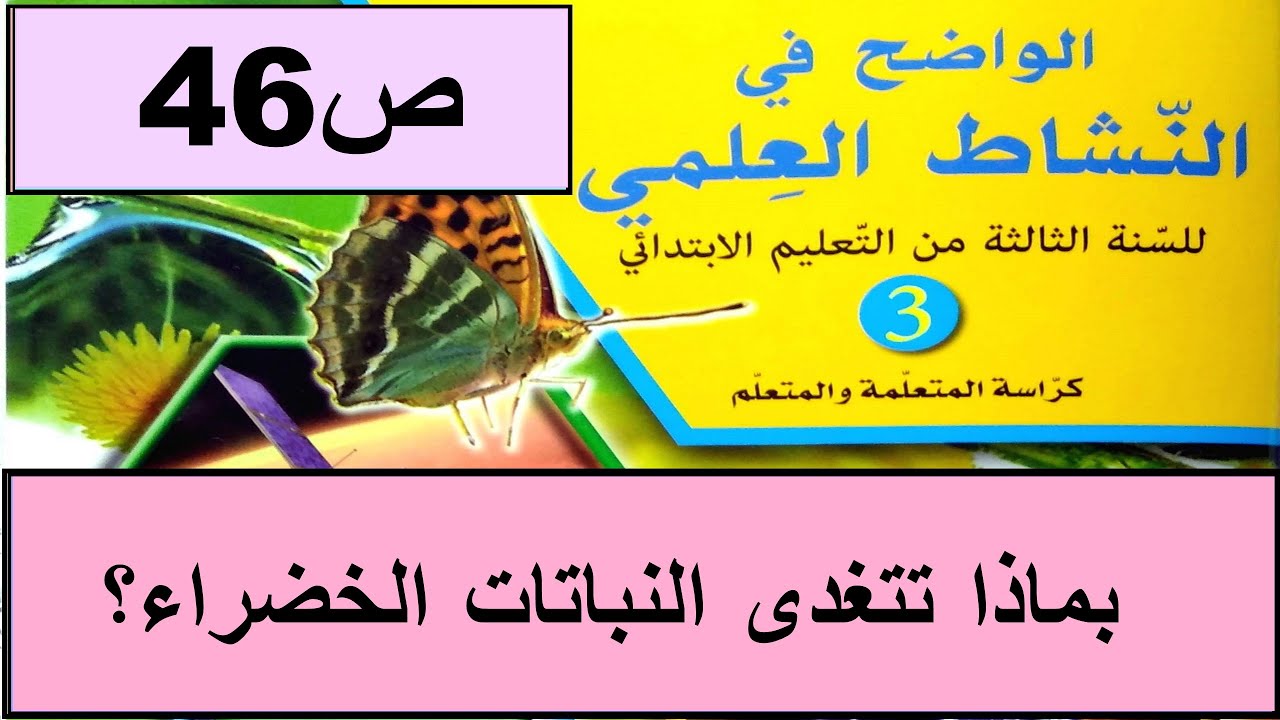 بماذا تتغذى النباتات الخضراء؟ ص46 الواضح في النشاط العلمي  المستوى الثالث طبعة 2020