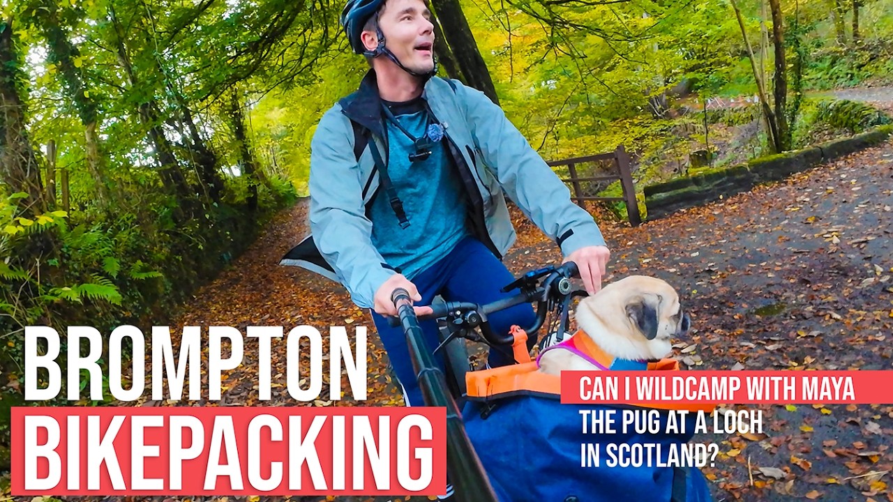 Bikepacking with a dog to a beautiful loch in Scotland