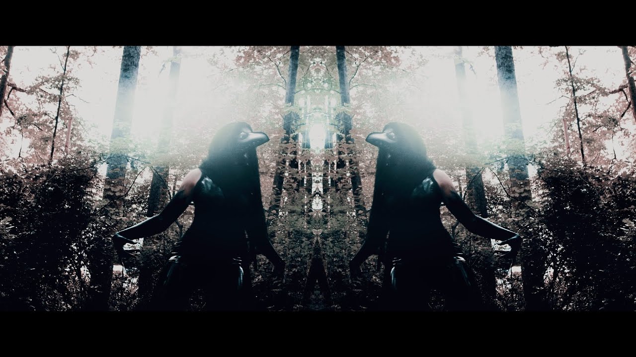 Stories Through Storms & Woe, Is Me - Rats (Official Music Video)