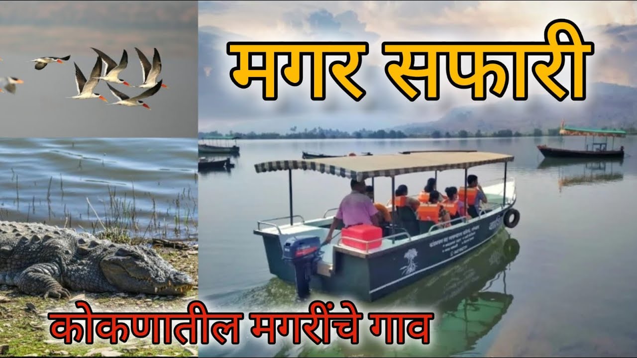 मगर सफारी 🐊| Crocodiles safari | Songaon’s Hidden Wildlife Escape”| ciplun kokan 🌴