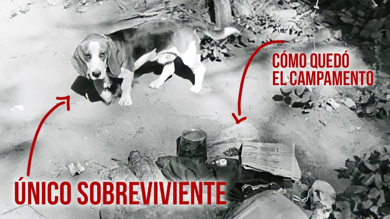 Fueron a acampar y desaparecieron. Sólo el perro Droopy sobrevivió. La historia de la familia COWDEN