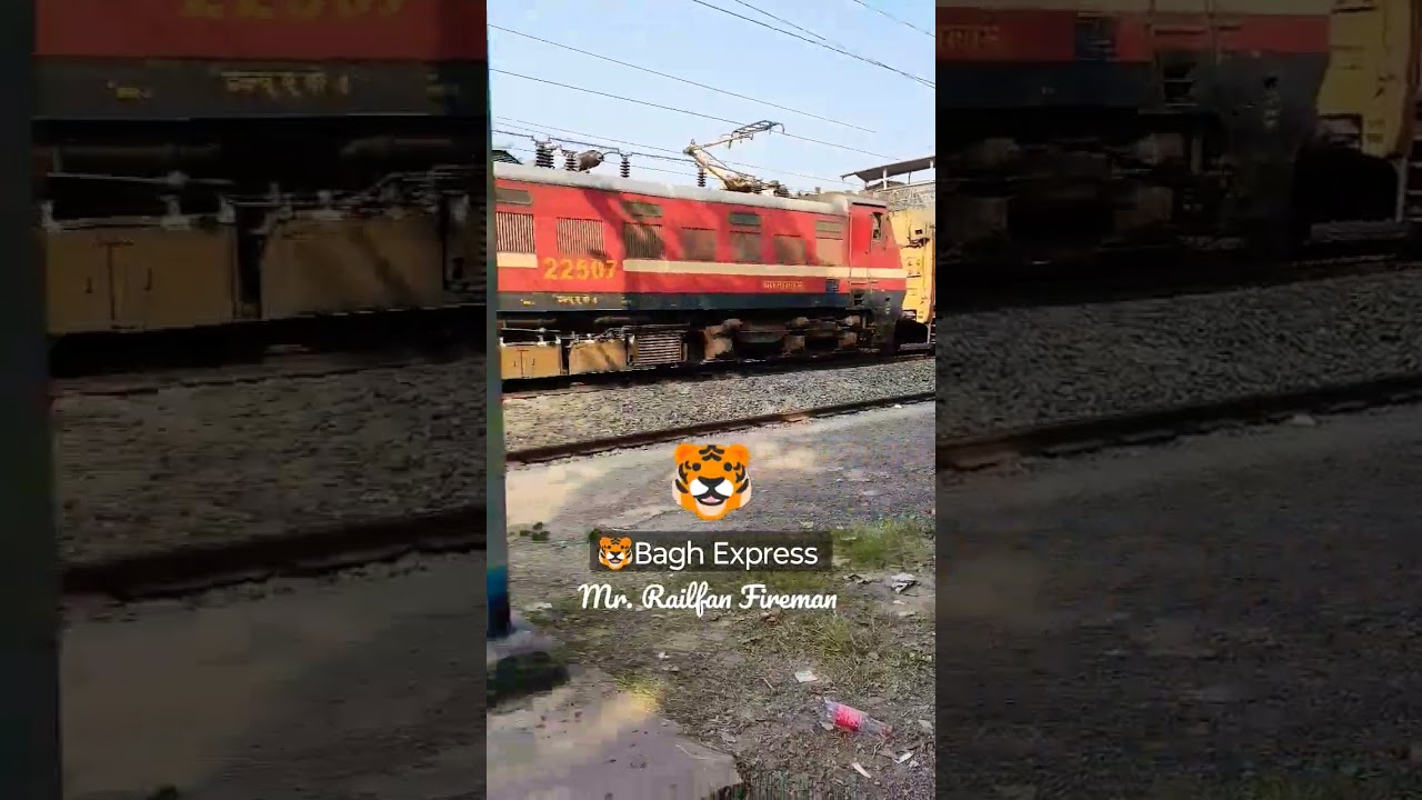 🐯 Bagh Express 