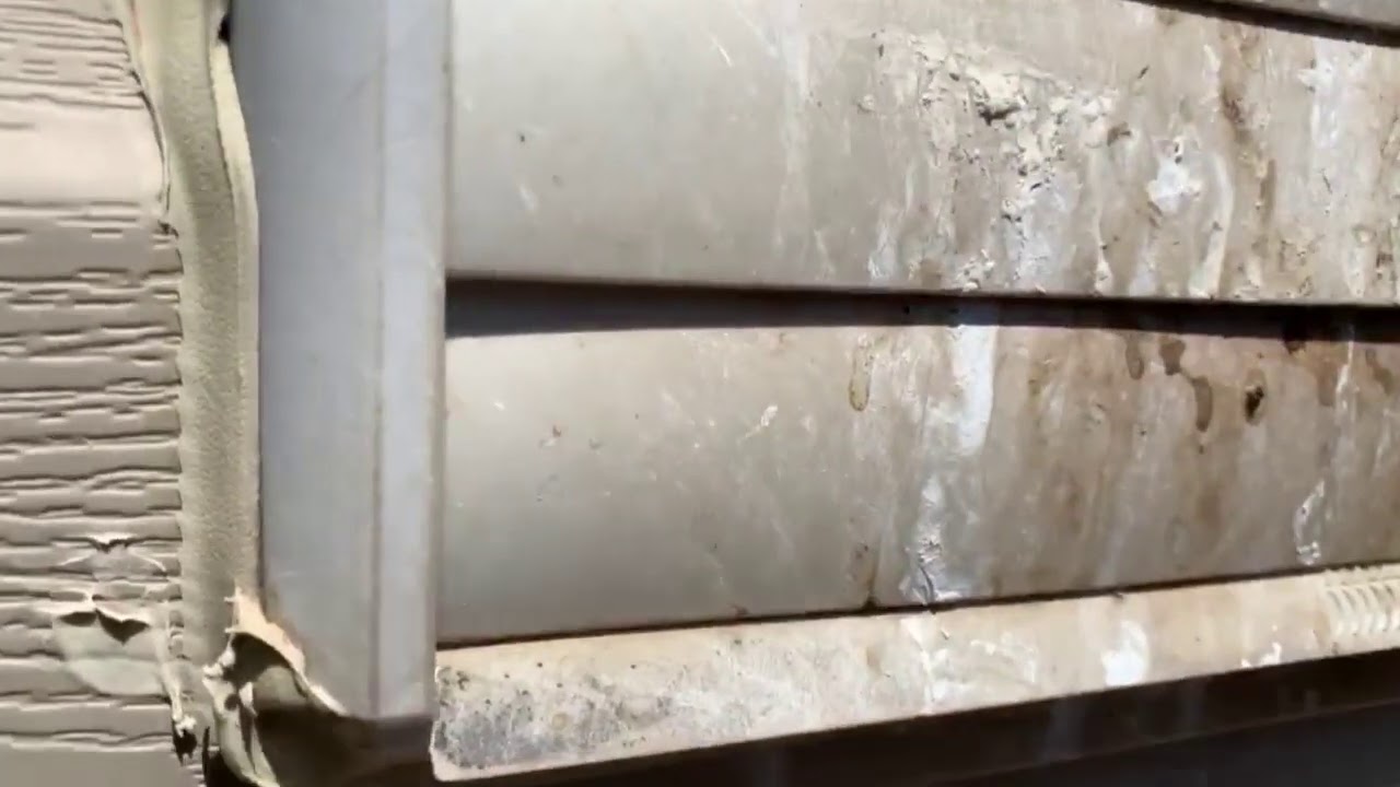 A Wall Vent Infested With Bird Mites