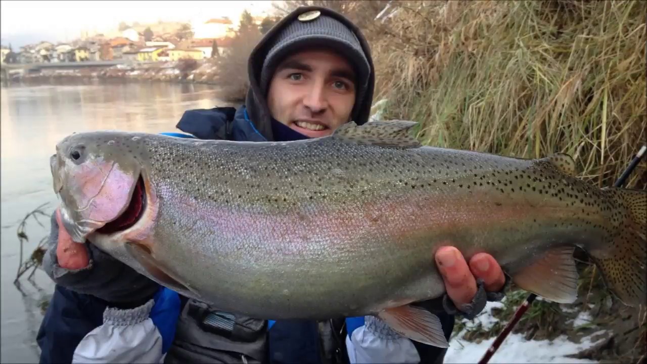 Seeking marbles  Pesca spinning in adige