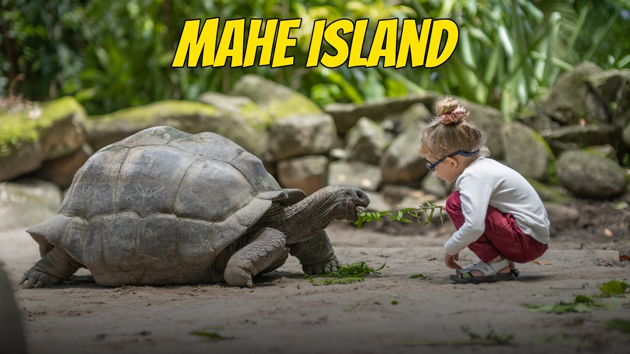 Seychelles: A Journey of a Lifetime