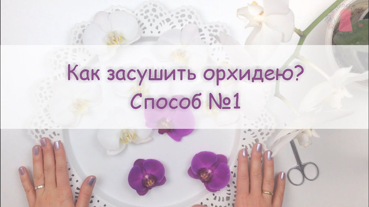 ЮВЕЛИРНАЯ СМОЛА || Как засушить орхидею? How to press and dry an orchid?