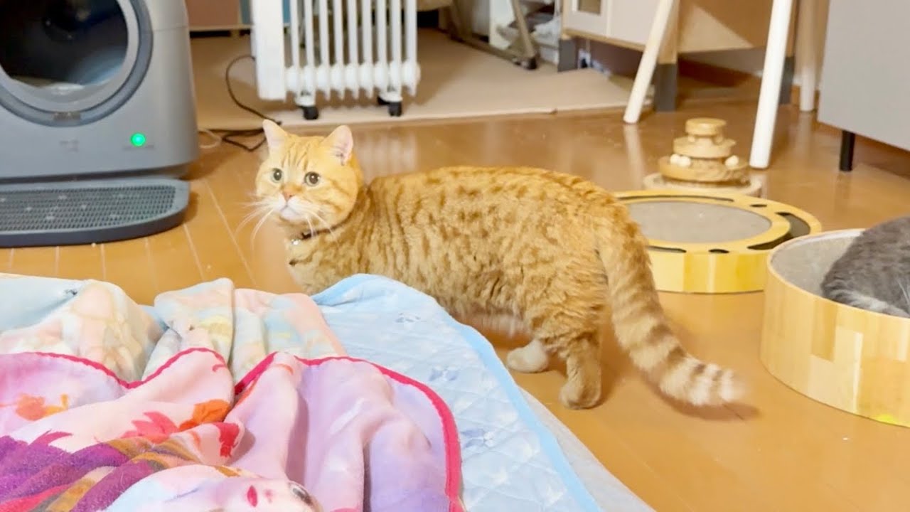 『だれもパパとあそんでくれないのん...』　と、その時！