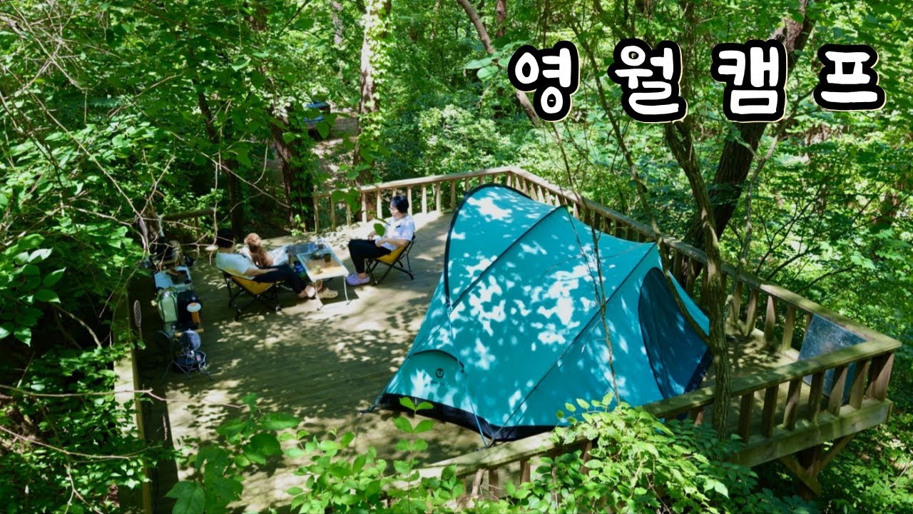 작은 휘게로 알려진 명품 숲속 계곡 캠핑⛺️안 가본 사람은 있어도 한 번만 가본 사람은 없다죵~🐶애견동반캠핑ㅣ영월캠프