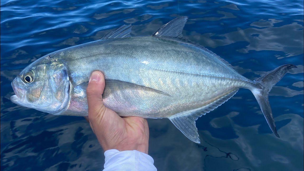 LRF Fundamentals #3: Full Guide to Kayak fishing