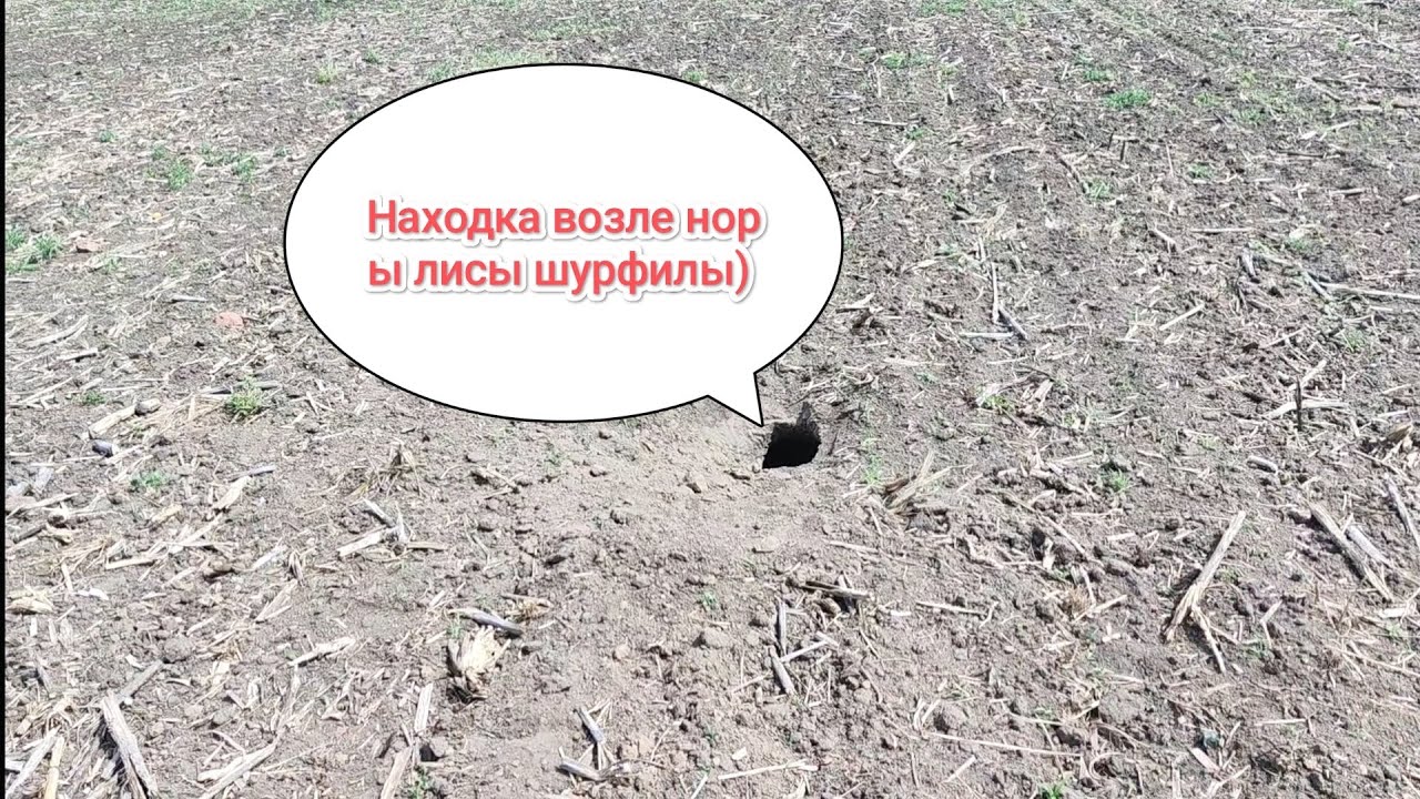 Поиск монет на месте старинного хутора #metaldetecting #хобби #coin #metaldetector #коп #хутор