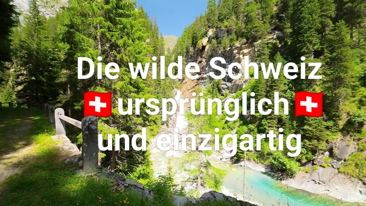 🇨🇭Val Ferrera Die wilde Schweiz  #home #nature #travel #swiss #switzerland #my #mychannel #schweiz