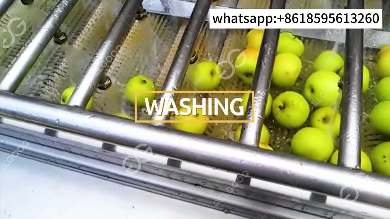 Dried Fruit Production Line Factory Process