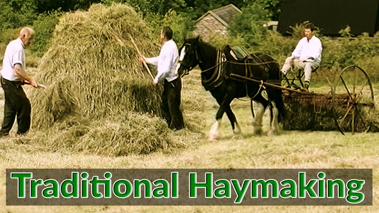 Traditional Hay Making