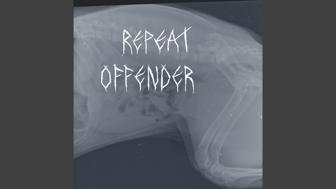 Repeat Offender