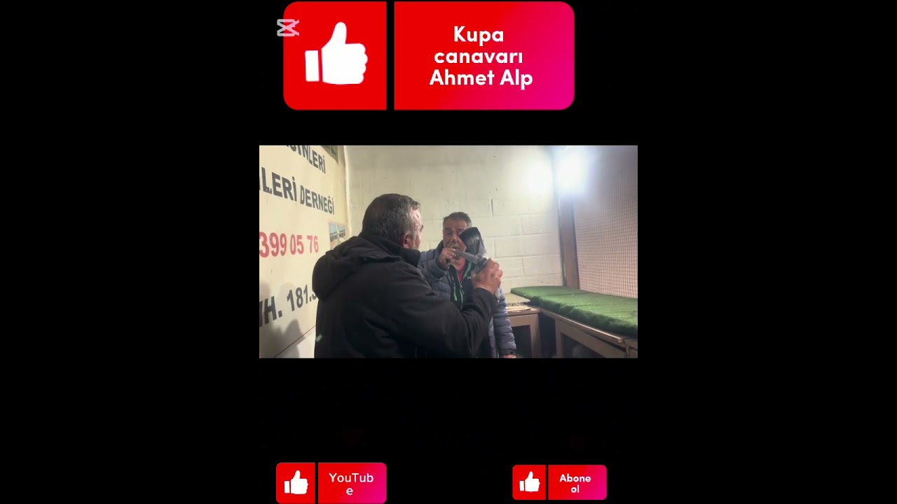Kupa canavarı Ahmet Alp abimin kuşları bugün canlı yayında 