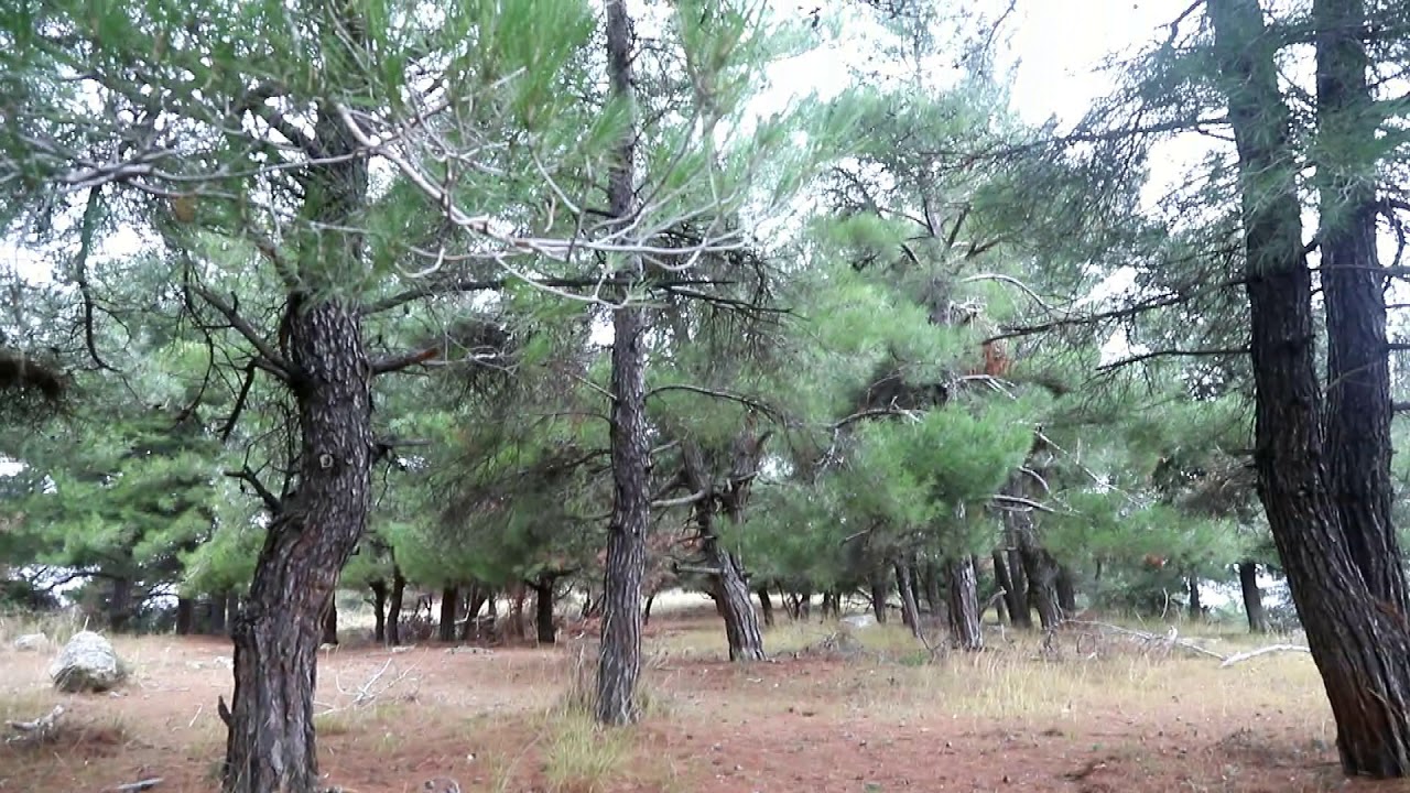 βόλτα στον Αγ.Αθανάσιο Ροδολίβους