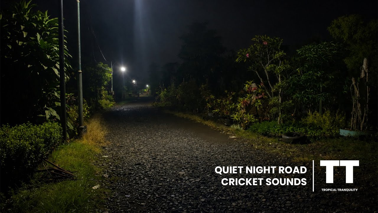Quiet Village Road at Night | Crickets Sound & Distant Traffic Ambience