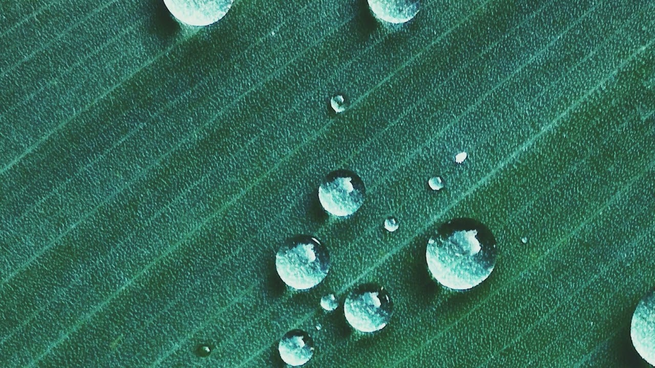 30 minutes Green Noise and 2 seconds | Relaxation Music | Study Music | Soothing Music | Sleep Music