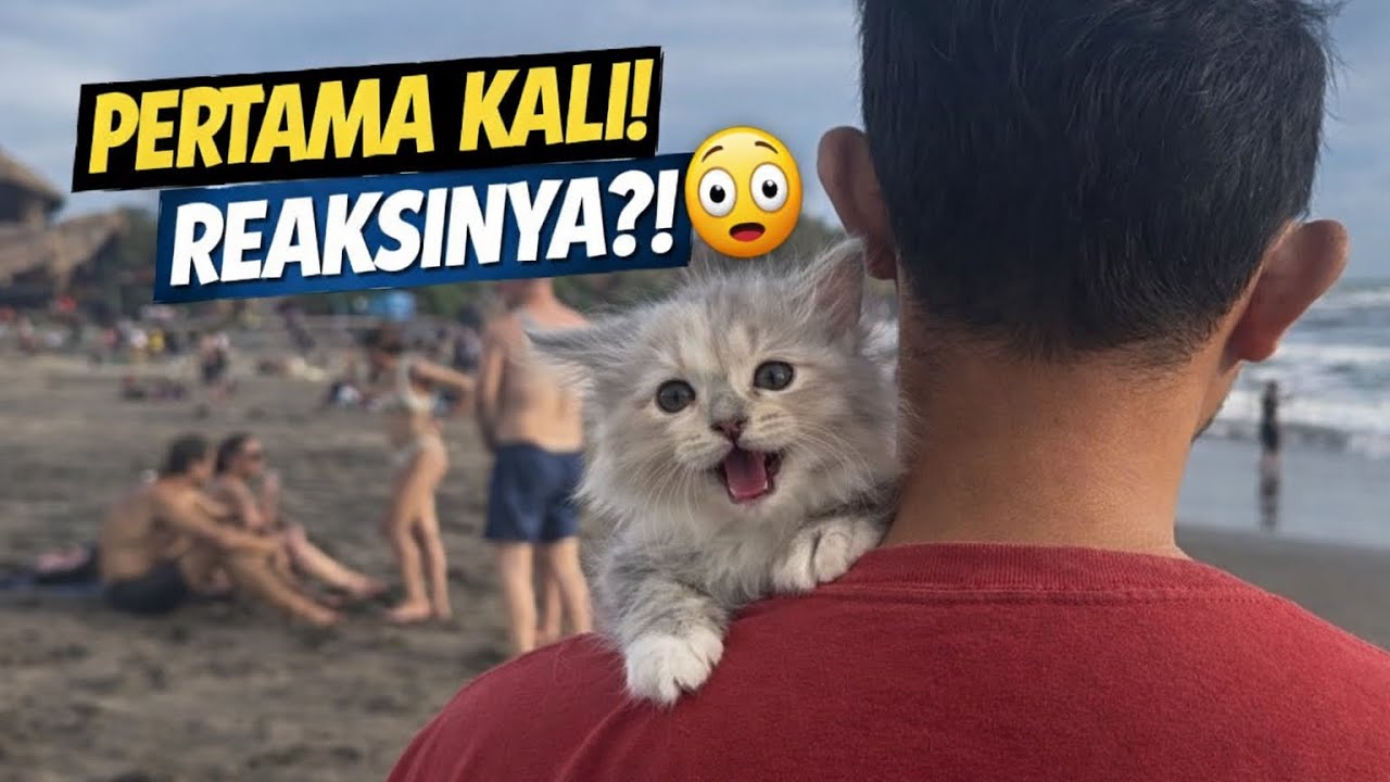 Pertama Kali Bawa Ulet Bulu ke Pantai || Reaksinya Bikin Kaget! 