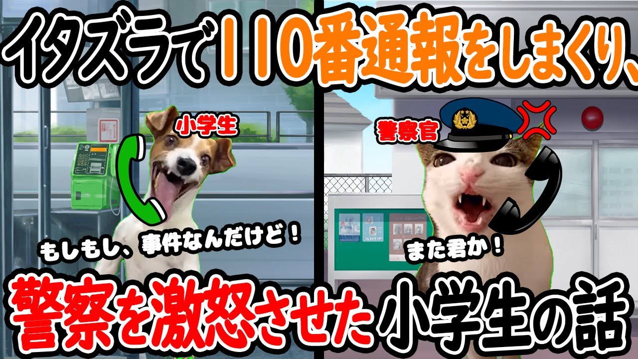 【実話】イタズラで110番通報をしまくり、警察を怒らせた小学生の話【猫ミーム】【猫マニ】